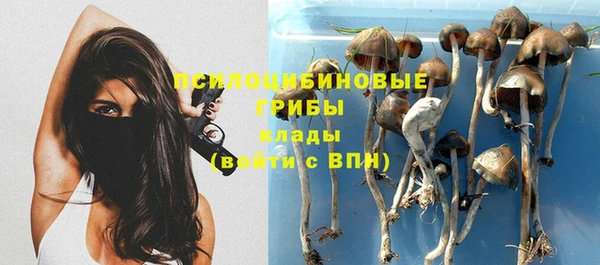 метадон Кинешма
